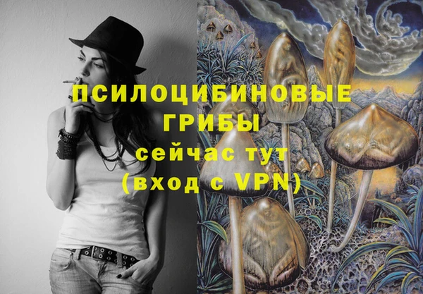 2c-b Балахна